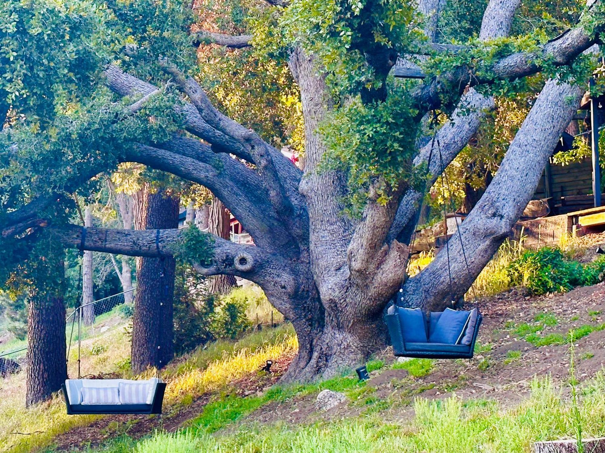 100 Mile View-Fire Pit, Romantic, Peaceful, Private Crestline Exterior photo