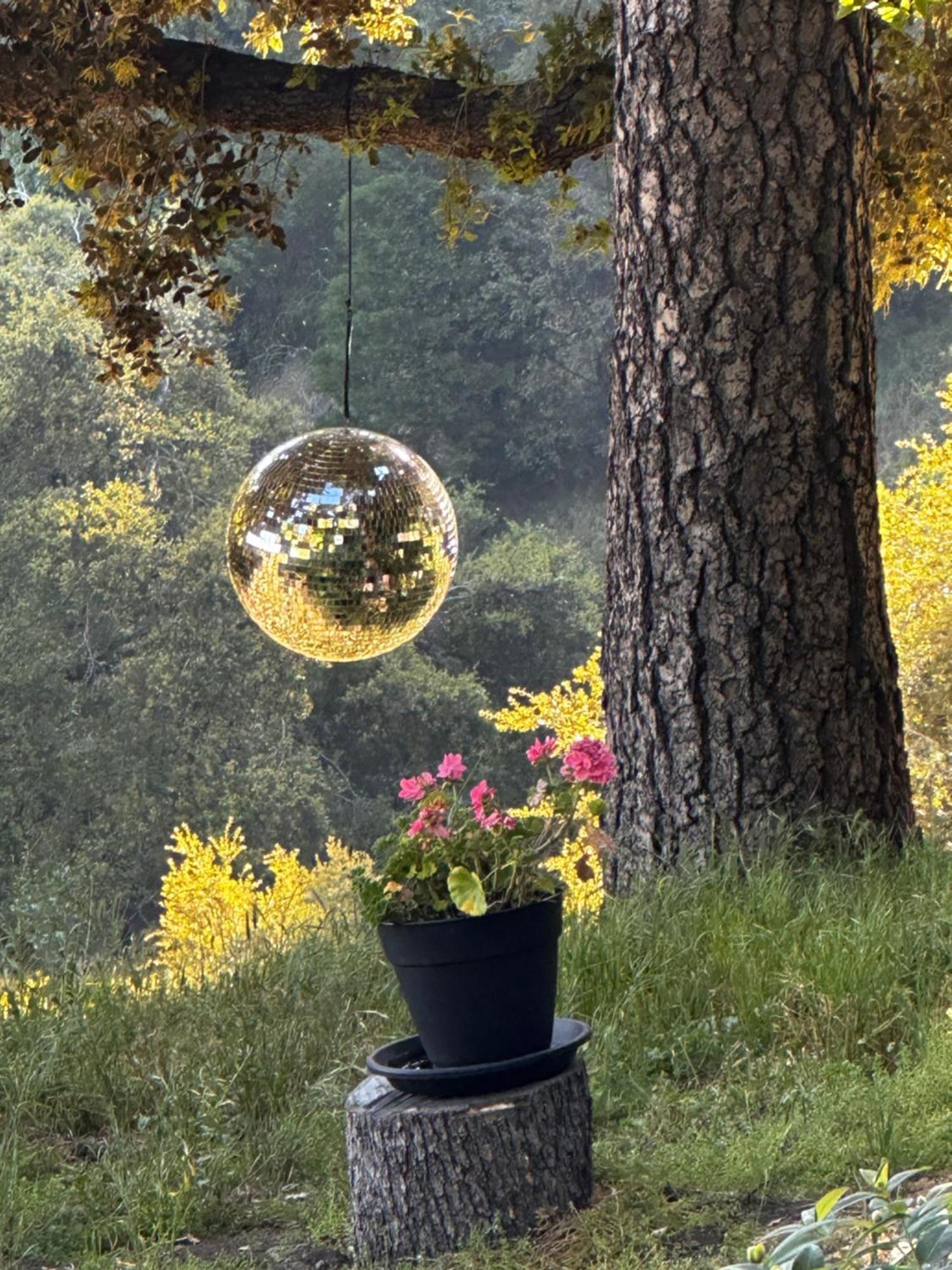 100 Mile View-Fire Pit, Romantic, Peaceful, Private Crestline Exterior photo